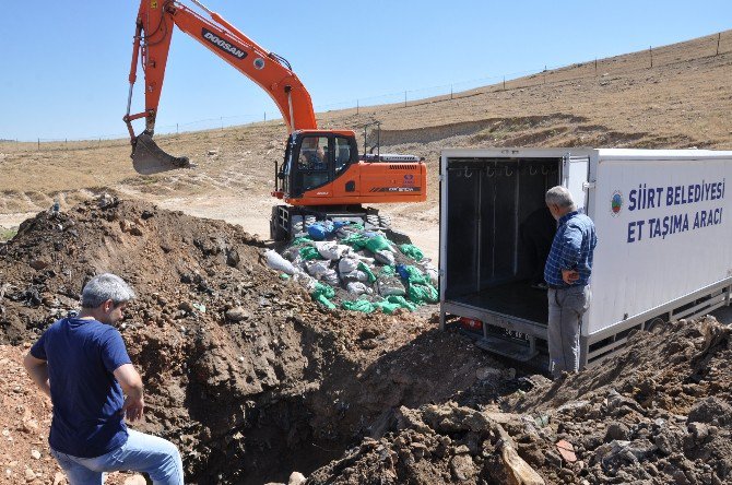 Siirt’te Bin 600 Kilo Et İmha Edildi