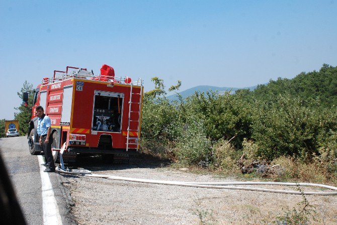 Bayramiç’te Orman Yangını