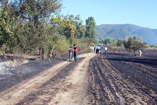 Pazaryeri’nde Yangın