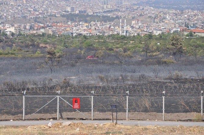 İzmir’deki Orman Yangınında Sabotaj İhtimali Araştırıyor