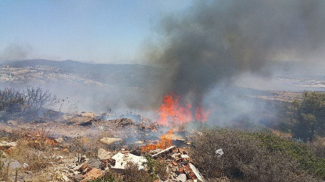 Milas’ta Makilik Alan Alev Alev Yanıyor