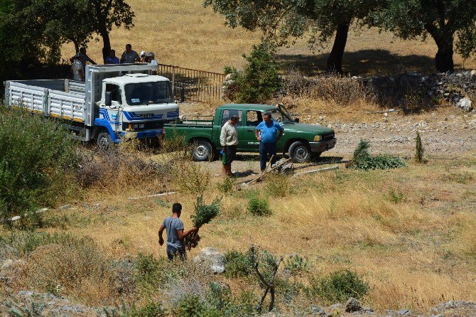 Söke’de Hazine Arazisini İzinsiz Kullanıma Geçit Yok