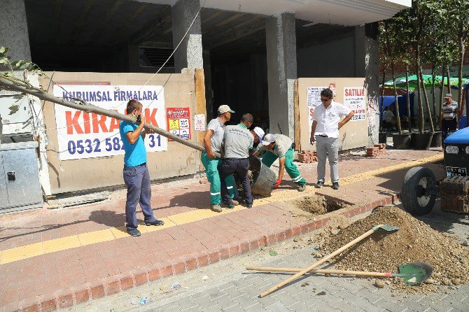 Ali Çetinkaya Caddesi Renkleniyor