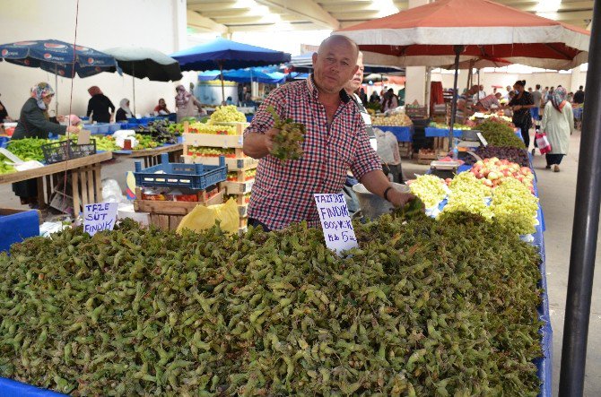 Bilecik’te Yaş Fındık Tezgahlardaki Yerini Aldı