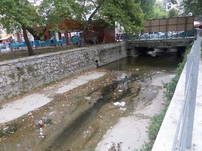 Turizm Merkezindeki Dere Çöplüğe Döndü