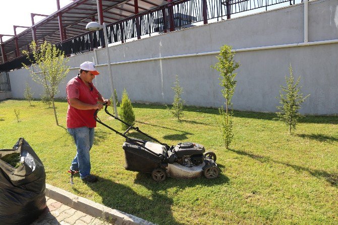 Turgutlu’nun Yeşil Alanları Kontrol Altında