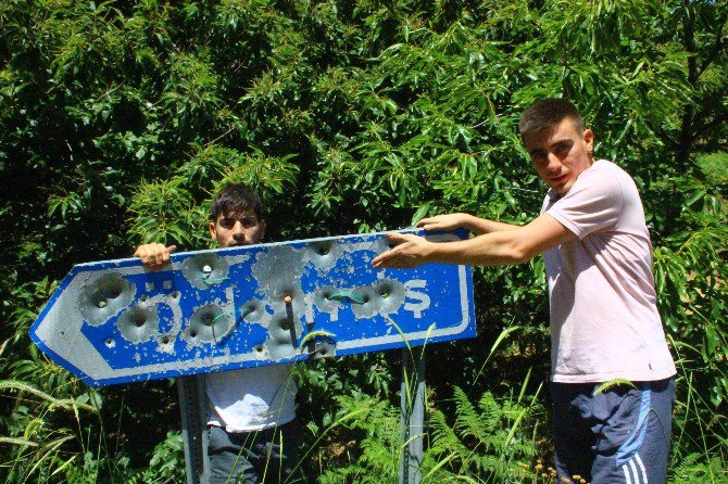 Karayolları Tabelaları Hedef Tahtası Oldu