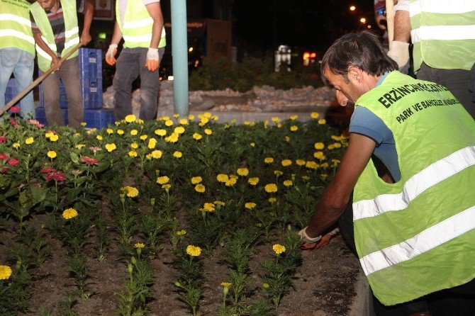 Binlerce Çiçek Toprakla Buluştu