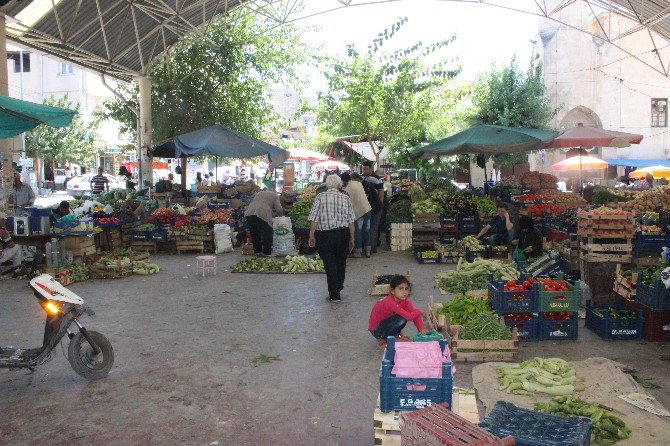 Kilis’te Kurutmalık Başladı