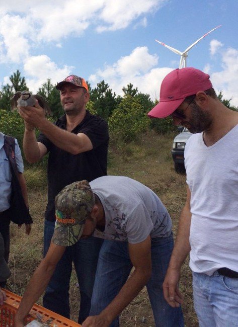 Hayrabolu’da Keklikler Doğaya Salındı