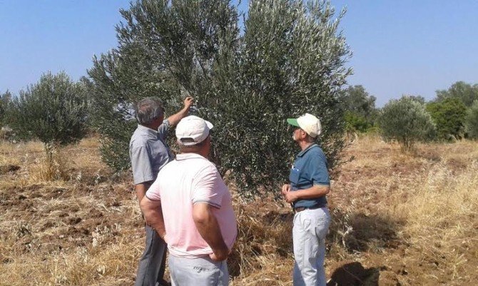 Zirai Zararlara Karşı Üreticiyi Bilgilendirdiler