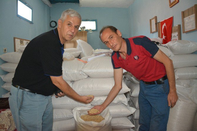 Latmos’tan Avrupa’ya Künar