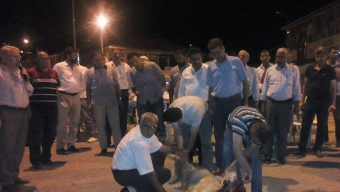 Sincik’de Şükür Kurbanı Kesildi