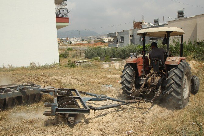 Toroslar’da Haşere Ve Görüntü Kirliliğine Karşı Boş Arsalarda Temizlik