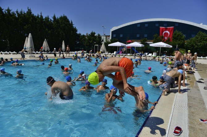 Yüzme Havuzlarında Yaz Yoğunluğu