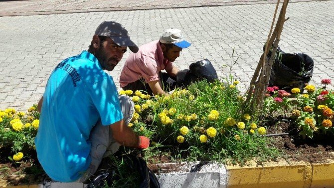 Gölbaşı İlçesinde Peyzaj Çalışmaları Devam Ediyor