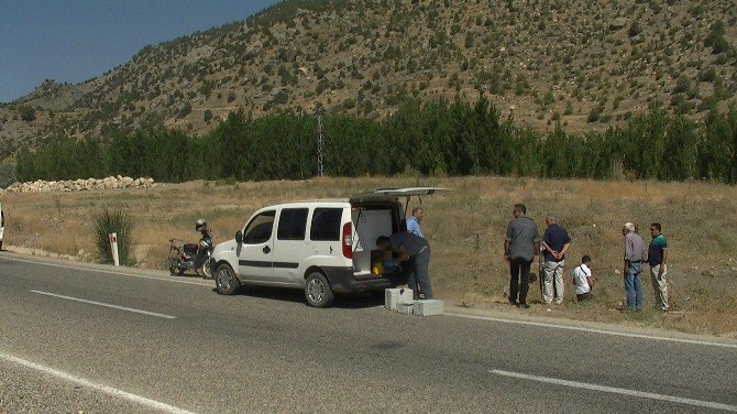 Yol Kenarında Suikast Silahı Ve 2 Adet Şarjör Bulundu