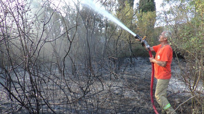 Piknikçiler Ormanı Yakınca Malzemeleri Bırakıp Kaçtılar