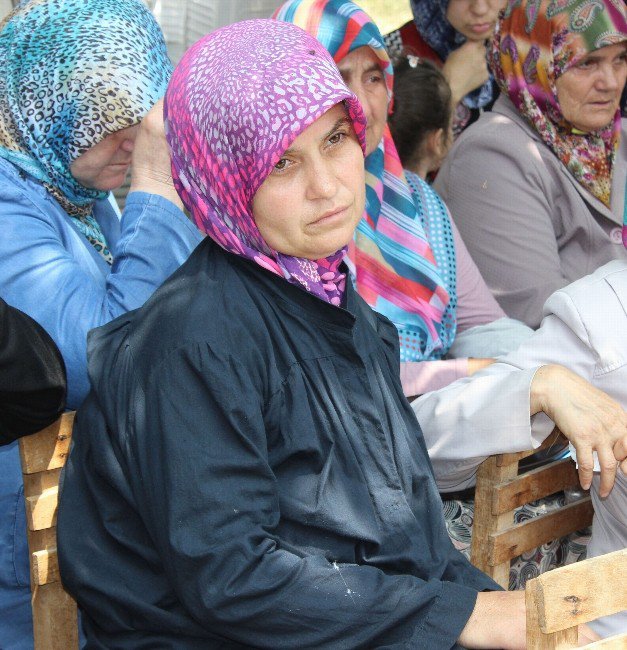 Şehit Babası Oğlunu Son Kez Böyle Uyarmış: