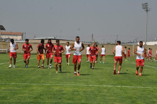 Naz Naz’da Herşey Yolunda