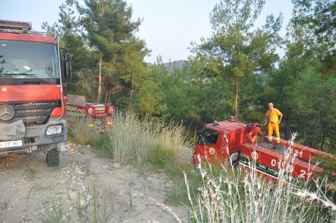 Osmaniye’de Orman Yangını