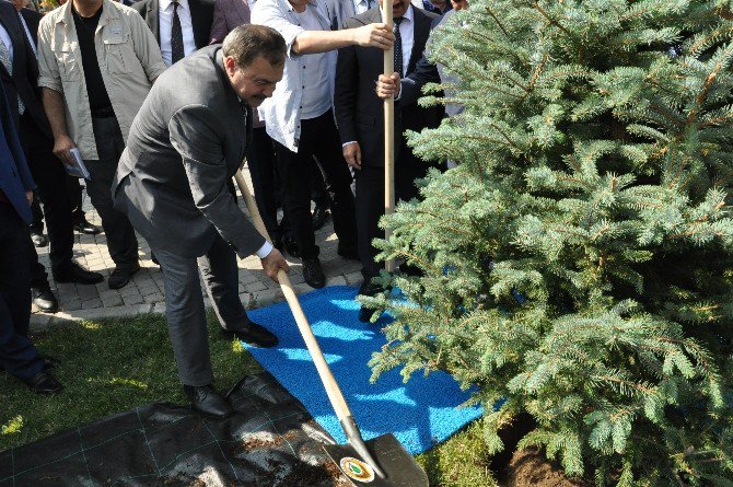 Bakan Eroğlu Balıkesir’de 15 Temmuz Şehitleri İçin Ağaç Dikti