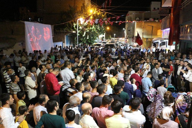 Ceylanpınar’da Demokrasi Nöbeti Devam Ediyor