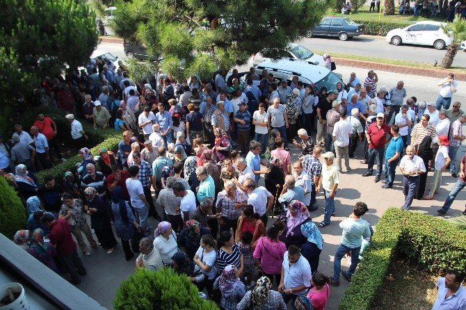 Toki Kurasında İzdiham Yaşandı