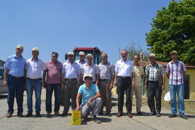 Lüleburgaz’da Sezonun İlk Ayçiçeği Alımı Gerçekleşti