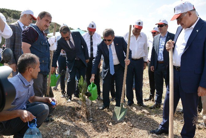 Burdur’da Faaliyetini Tamamlayan Mermer Ocağına 122 Bin Ağaç