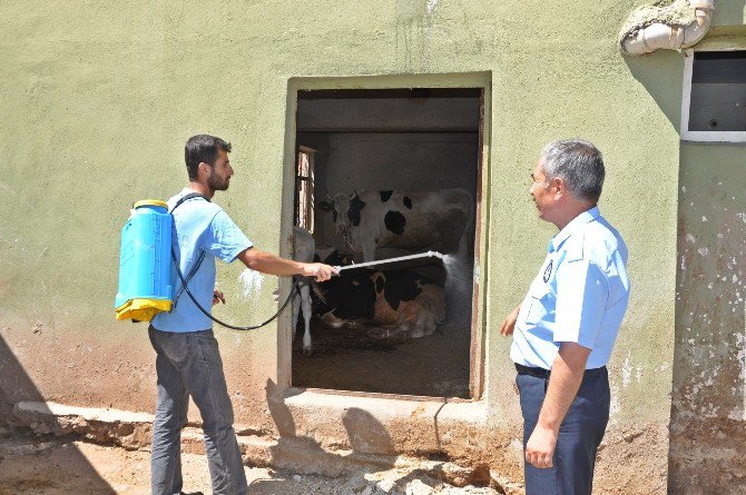 Gölbaşı Belediyesi İlaçlama Çalışmalarını Sürdürüyor