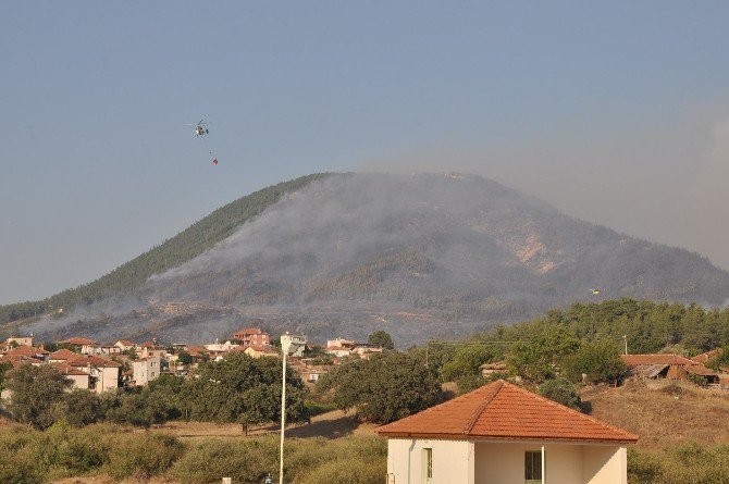 İzmir’deki Orman Yangını Devam Ediyor