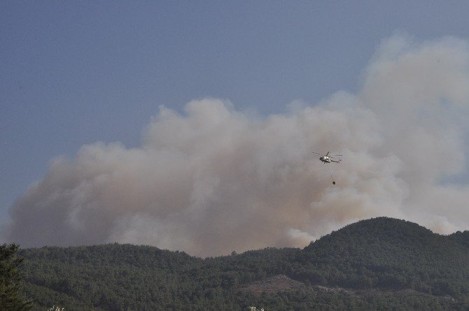 Mangaldan Çıkan Yangın Ormanlık Alana Sıçradı