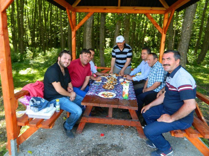 Yaz Kuran Kursu Öğrencilerine Piknik Etkinliği