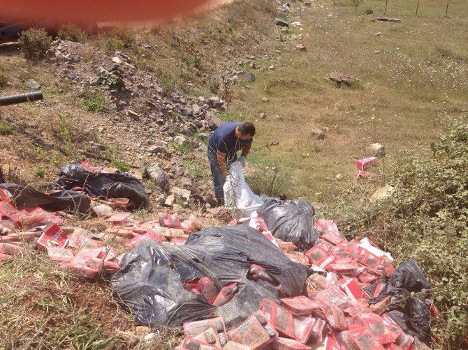 Gebze’de Geri Dönüşüm Ve Atık Toplama Çalışmaları Devam Ediyor