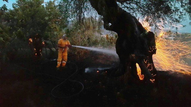 Tarihi Birgi Mahallesi’nde Çıkan Yangında Bilanço Ağır