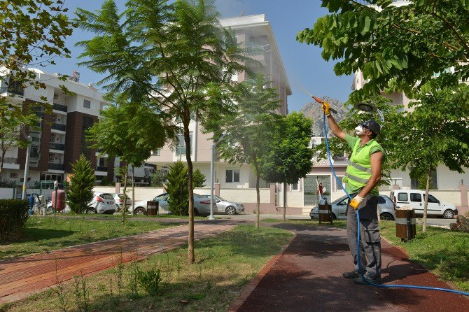 Konyaaltı Belediyesi’den Hijyen Çalışması