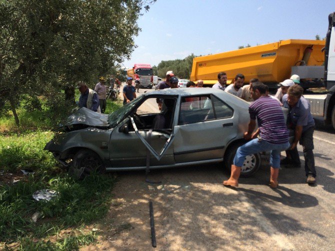 Kadın Sürücü Ağaca Çarptı: 3 Yaralı