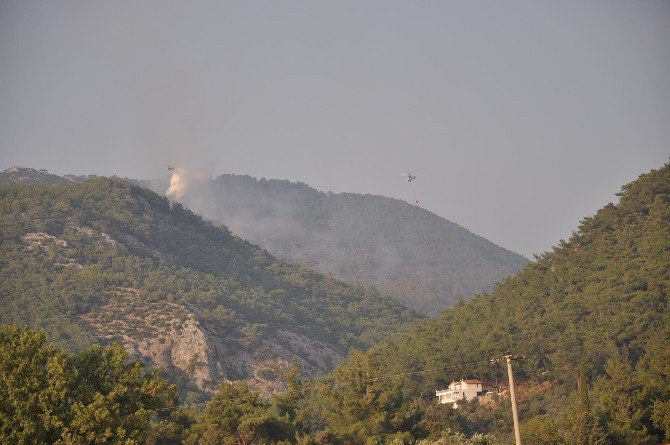 İzmir’de Orman Yangını