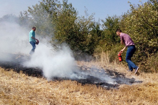 Hayrabolu’da Anız Yangını Korkuttu