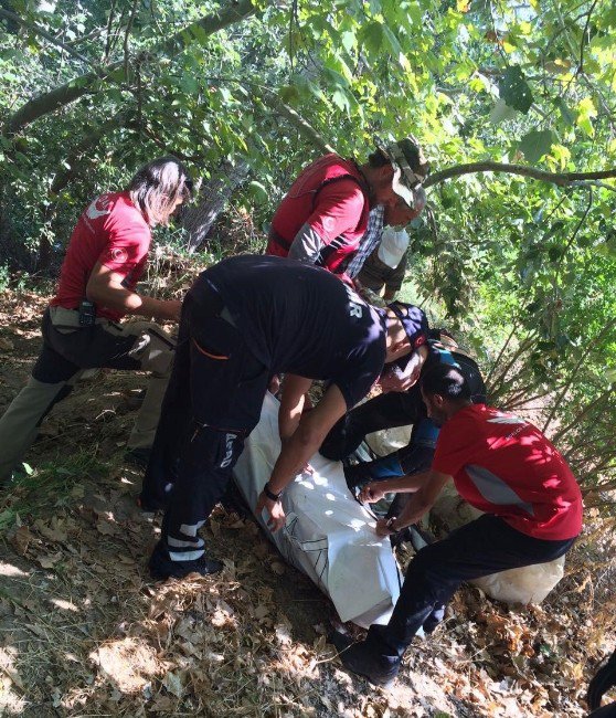 Sakarya Nehri’ne Düşen Adamın Cesedi Bulundu