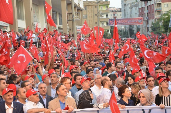 Mardin’de Coşkulu Miting