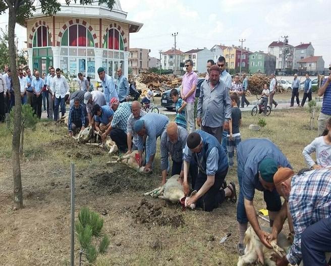 Darbe Püskürtüldüğü İçin Kurban Kestiler