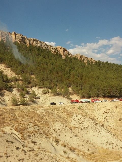 Adıyaman’da Orman Yangını