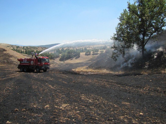 Hisarcık’ta Arazi Yangını