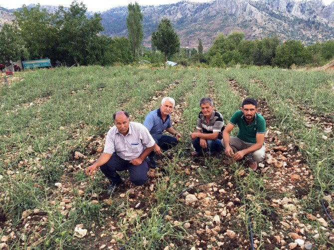 Erdemli’nin Yüksek Kesimlerini Dolu Vurdu
