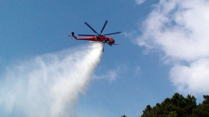 Pendik’te 4 Hektar Ormanlık Alan Kül Oldu