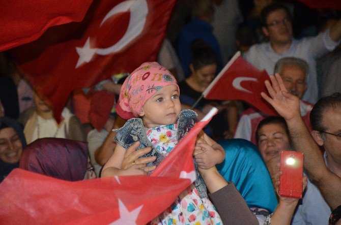 Onlar Demokrasinin Minik Nöbetçileri