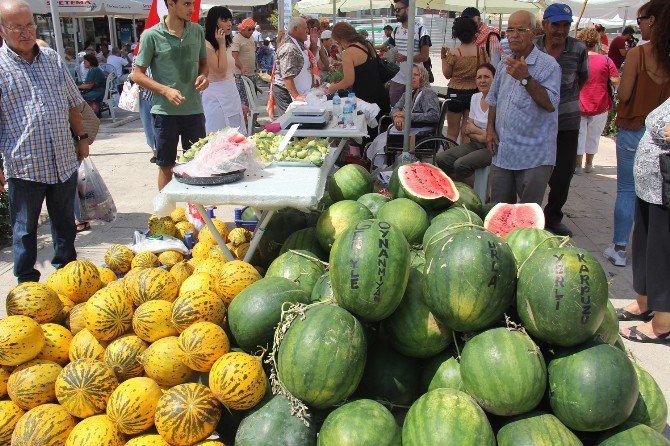 Urla Geleneksel Bağbozumu Şenlikleri’ne Geri Sayım Başladı