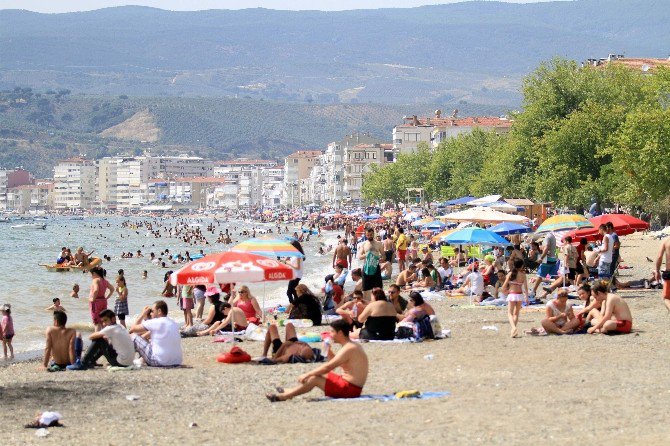 Bursa Sahillerinden Güzel Haber